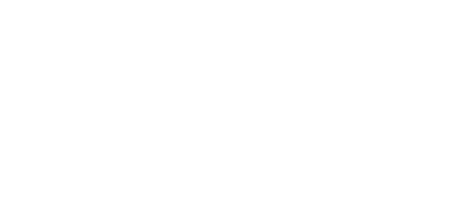 Purity auto hygienics